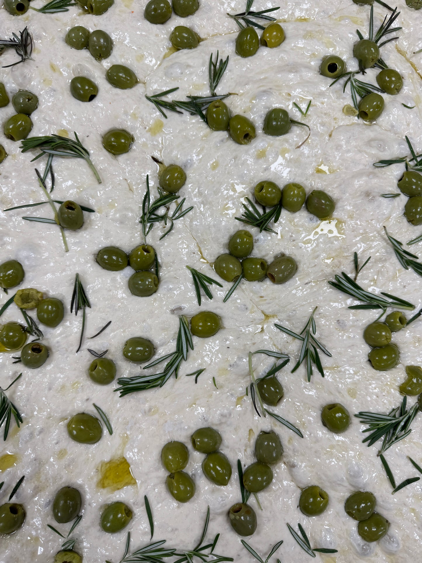 Homemade Castelvetrano Olive & Rosemary Focaccia/ DF