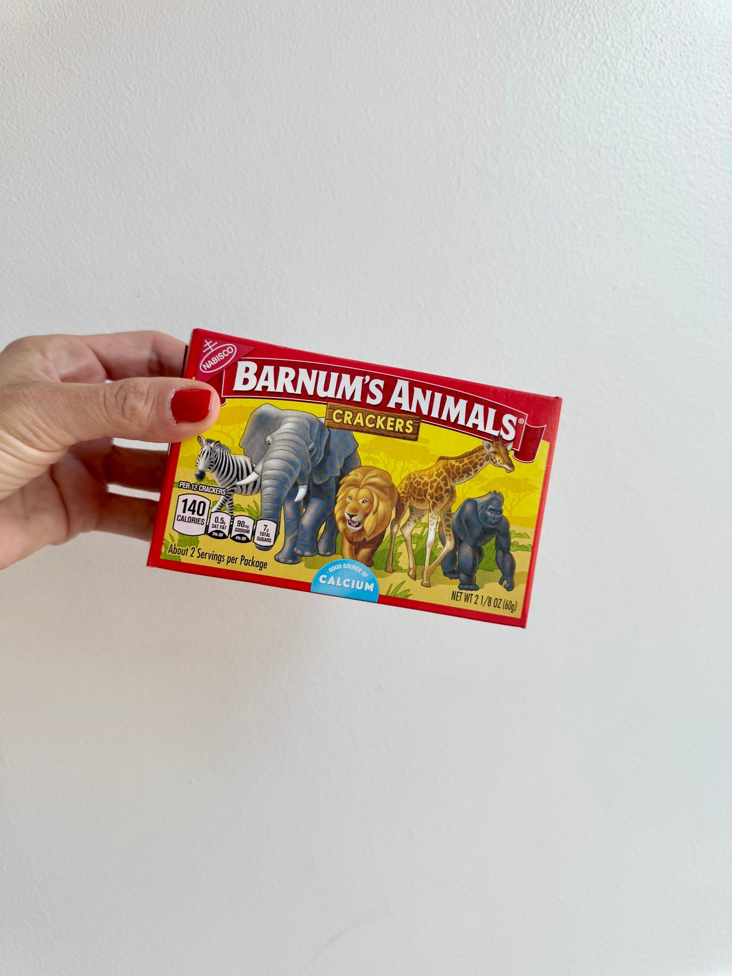 Animal Crackers / Pool & Beach