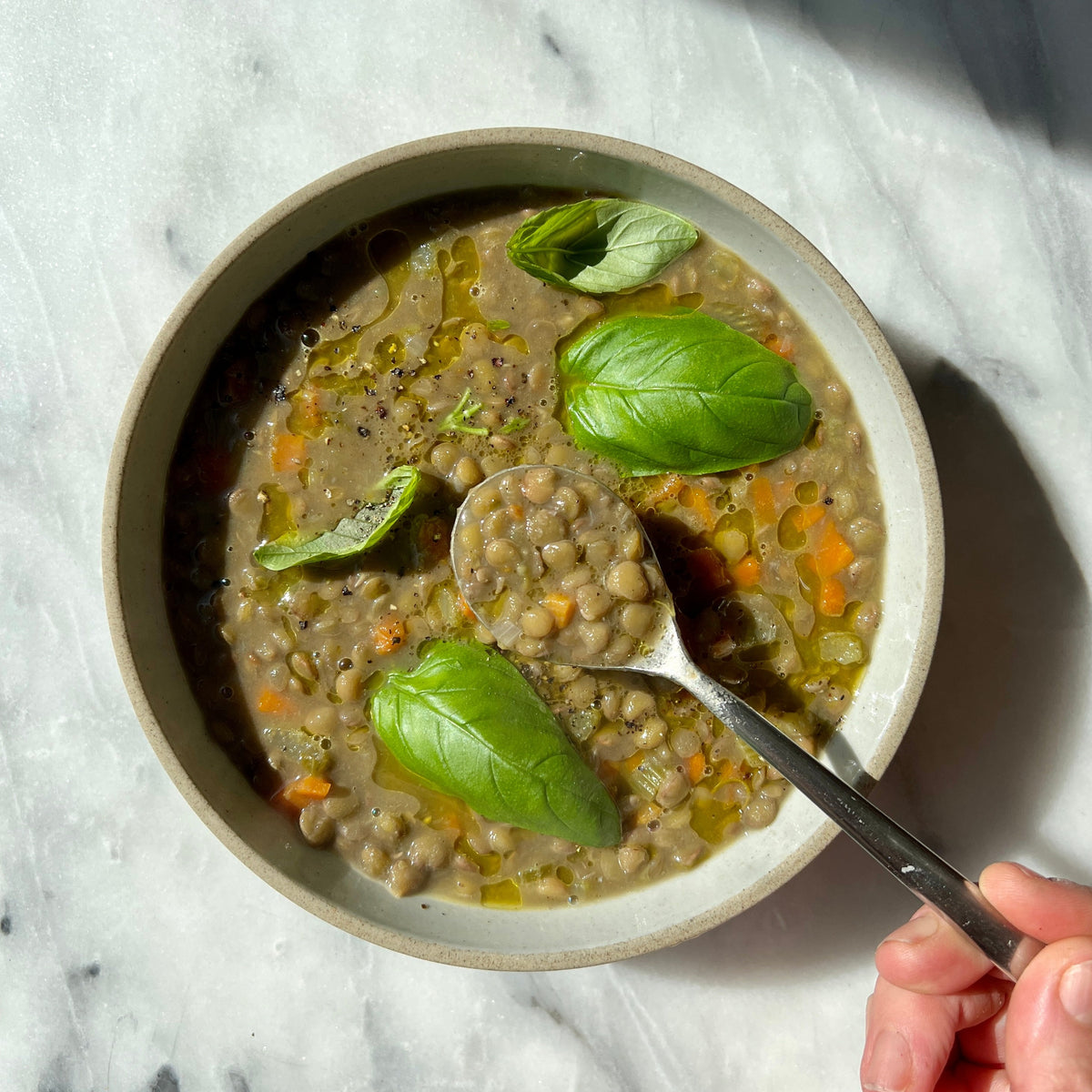 Lentil Soup/ GF & DF - 32 ounces